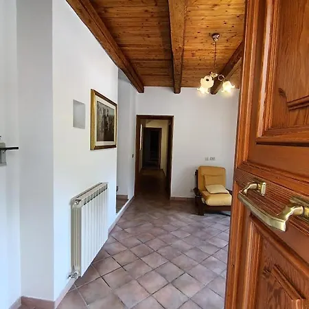 Amandola Moglietta